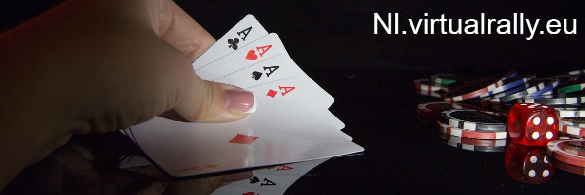 nl.virtualrally.eu